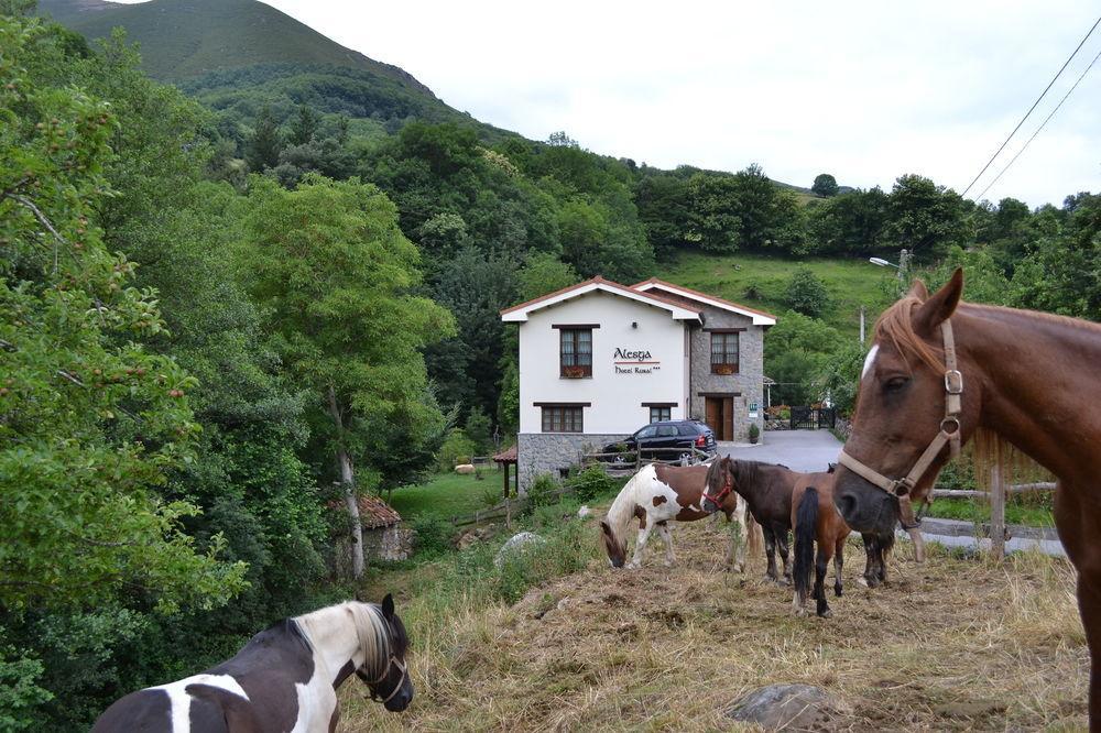 Alesga Hotel Rural - Valles Del Oso -Asturias San Salvador  Dış mekan fotoğraf