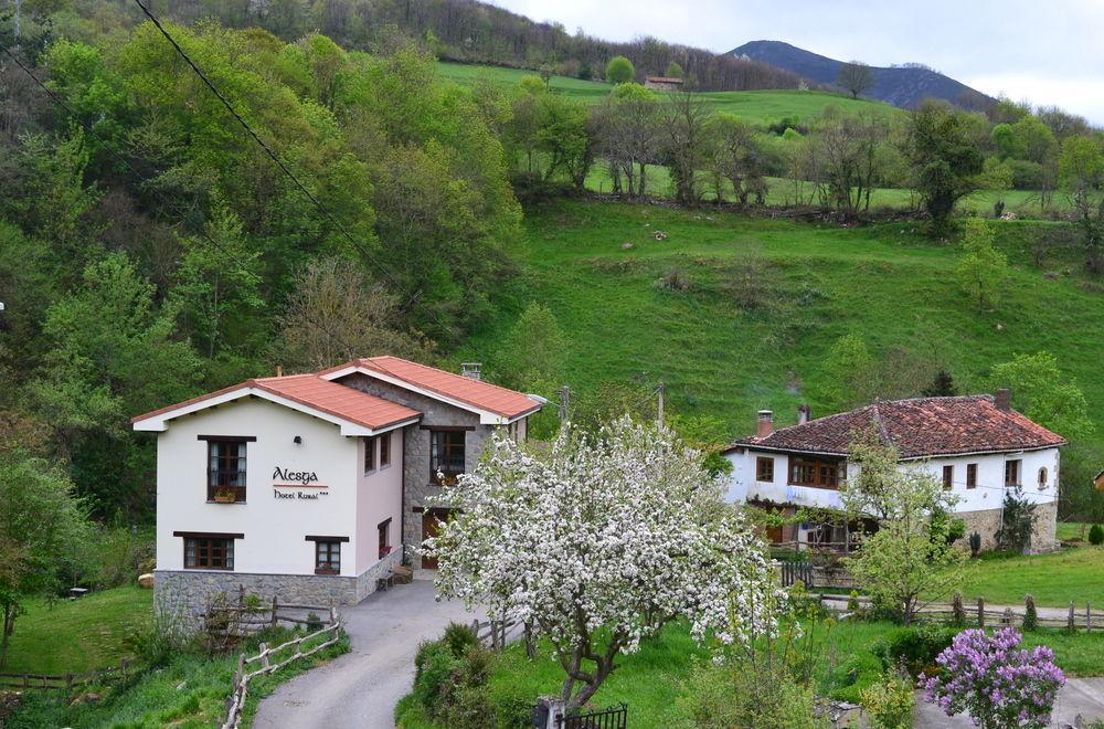 Alesga Hotel Rural - Valles Del Oso -Asturias San Salvador  Dış mekan fotoğraf