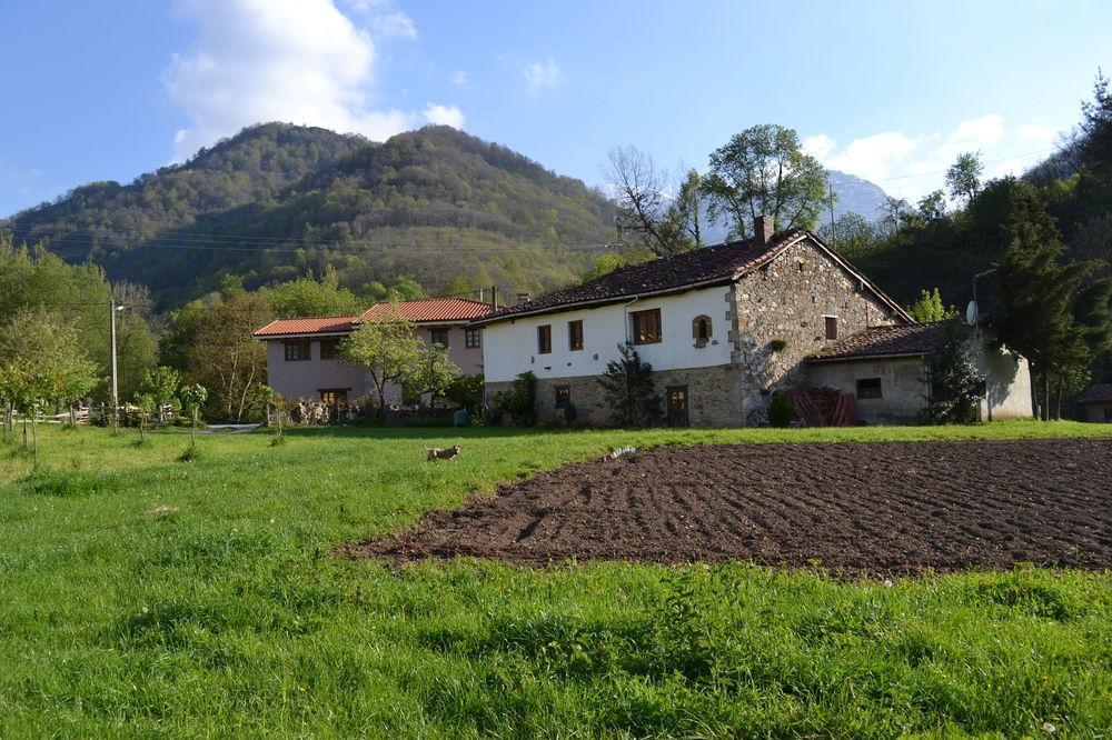 Alesga Hotel Rural - Valles Del Oso -Asturias San Salvador  Dış mekan fotoğraf