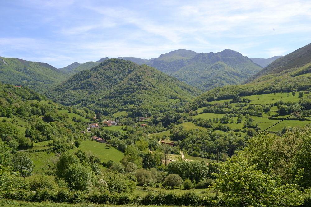 Alesga Hotel Rural - Valles Del Oso -Asturias San Salvador  Dış mekan fotoğraf