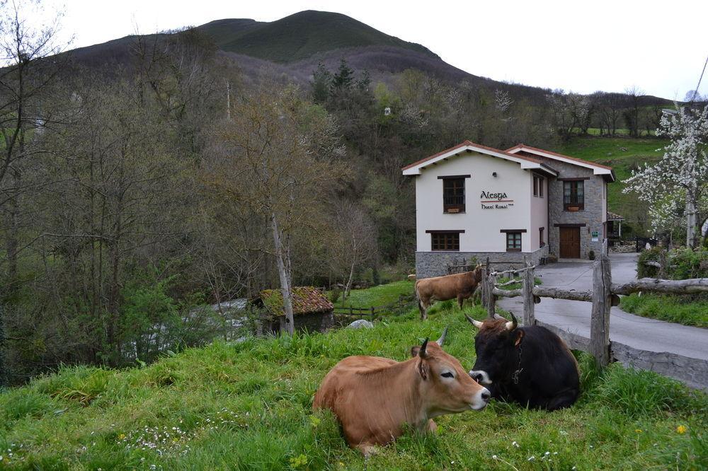 Alesga Hotel Rural - Valles Del Oso -Asturias San Salvador  Dış mekan fotoğraf