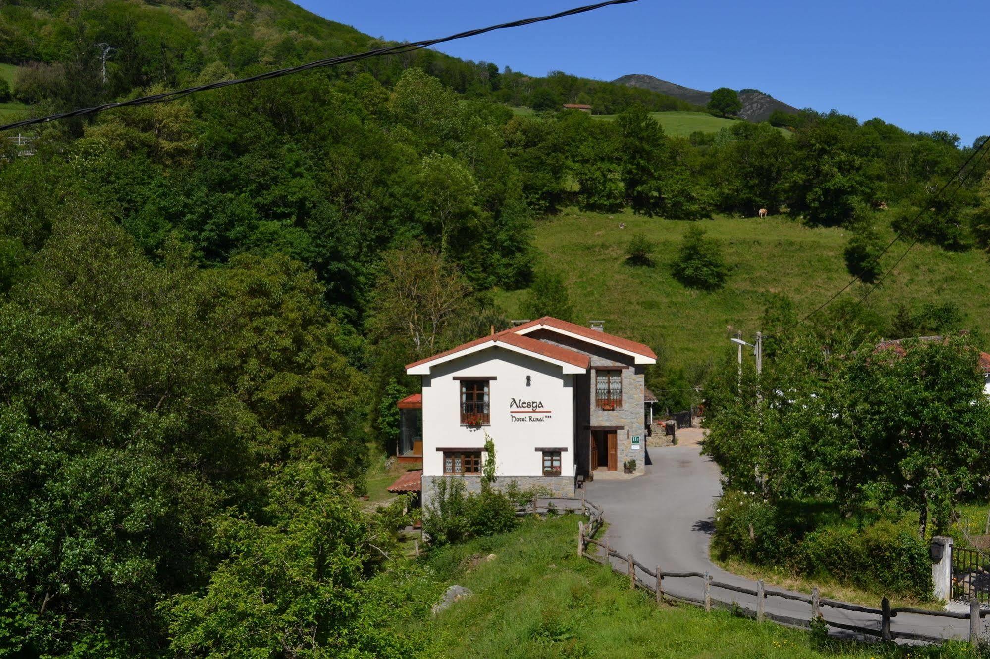 Alesga Hotel Rural - Valles Del Oso -Asturias San Salvador  Dış mekan fotoğraf